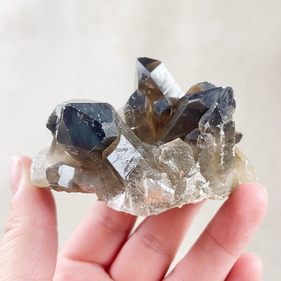 Smoky Quartz Crystal Cluster (EPJ-HDSA25-8)