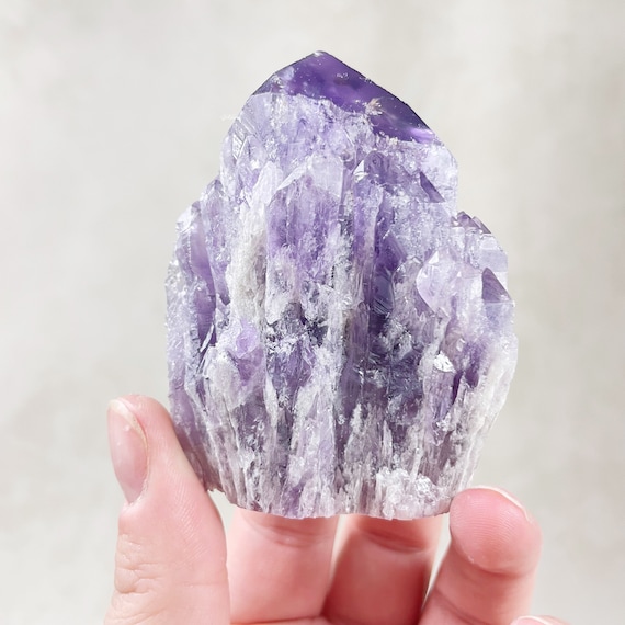 Amethyst Root Freeform Cluster (EPJ-HDF17-6)