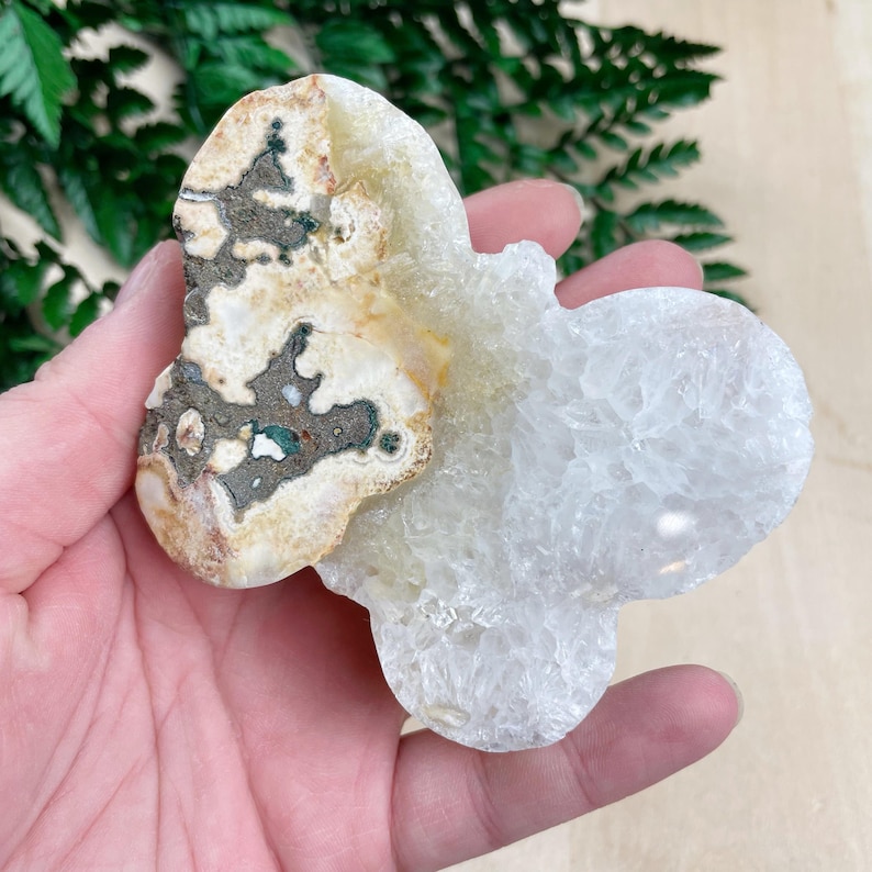 K&ouml;nnte beinhalten: Ein wei&szlig;er und brauner Achat-Geode, der in Form eines Schmetterlings geschnitzt ist. Der Geode hat eine nat&uuml;rliche Kristallbildung und ist ein wundersch&ouml;nes Beispiel f&uuml;r die nat&uuml;rliche Sch&ouml;nheit von Kristallen.