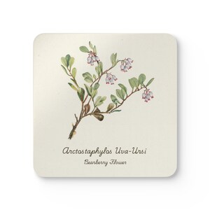 Botanical Cork Coaster Set, Rustic Home Decor, Nature Lovers Gift, Eco-Friendly Coasters for Coffee Table, Housewarming Gift