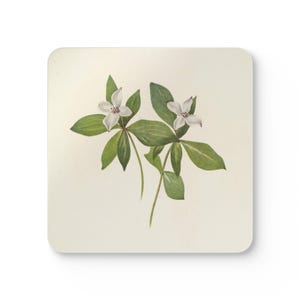 Vintage Floral Cork Coaster Set, Botanical Drink Coasters, Eco-Friendly Home Decor, Perfect for Housewarming, Gift for Nature Lovers,