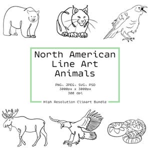 42 Noord-Amerikaanse dieren clipart | Lijntekeningen natuurillustraties | PSD, SVG, png | Handgetekende contourafbeeldingen| Minimalistische kunst | Dieren in het wild