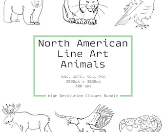42 North American Animals Clipart | Line Art Wildlife Illustrations | PSD, SVG, PNG | Hand Drawn Outline Graphics| Minimalist Art | Wildlife
