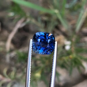 May include: A square-cut, deep blue gemstone held by silver tweezers. The gem's facets reflect light, displaying various shades of blue. The background is blurred, with green foliage. This image showcases the beauty of a precious stone.