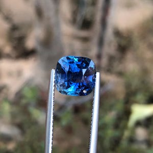 May include: A square-cut, deep blue gemstone held by silver tweezers. The gem's facets catch the light, displaying a rich blue colour. The blurred background accentuates the gemstone's clarity and colour. This image showcases a precious stone.