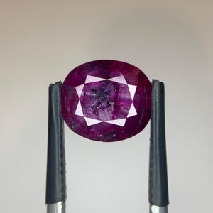 May include: A faceted, oval ruby gemstone held by tweezers. The ruby is a deep, rich red-purple colour with a starburst pattern in the centre. The gemstone is held against a plain, light background.