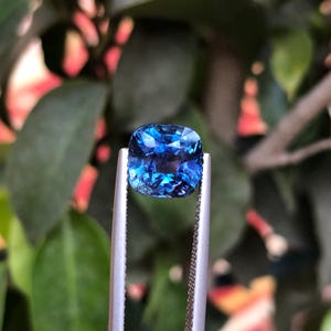 May include: A square-cut, deep blue gemstone held in silver tweezers. The gem's facets reflect light, creating a sparkling effect. The background is a soft focus of green leaves and branches, highlighting the gem's colour and clarity.