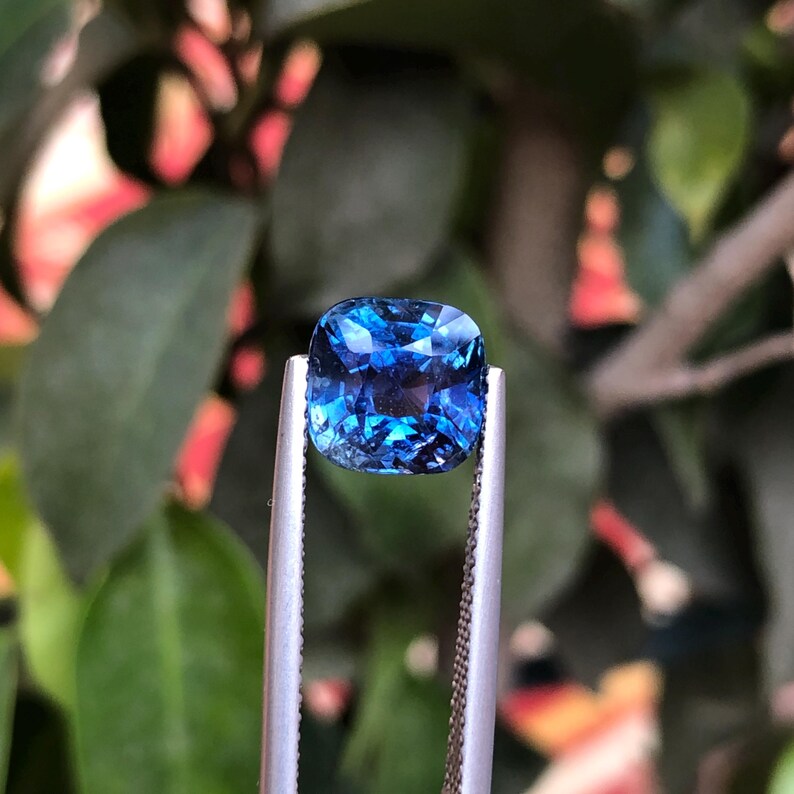 May include: A square-cut, deep blue gemstone held in silver tweezers. The gem's facets reflect light, creating a sparkling effect. The background is a soft focus of green leaves and branches, highlighting the gem's colour and clarity.