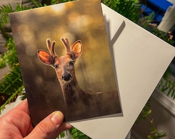 Biglietto di auguri originale, cervo dalla coda bianca