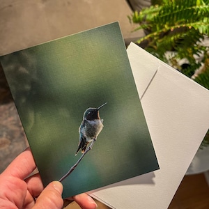 Original Greeting Card - Ruby Throated Hummingbird