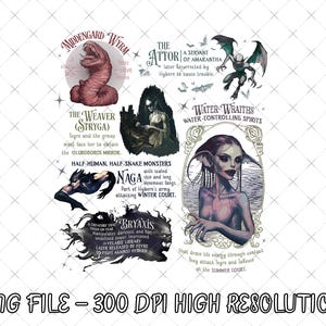 Velaris City Of Starlight PNG、ACOTAR Velaris Png、A Court of Thorns and Roses Quote、Court of Dreams Png、SJM Merch Png、Bookish Png 画像 1