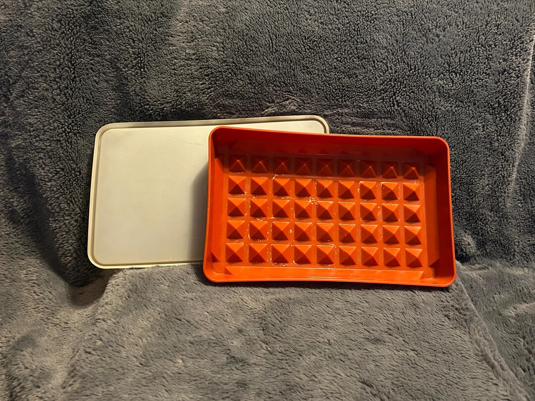 Vintage Tupperware Hot Dog, Meat and Marinade Keeper - Etsy