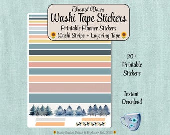 Washi Strips + Decorative Borders • Printable Planner Sticker Sheet • Happy Planner & Erin Condren | Frosted Dawn