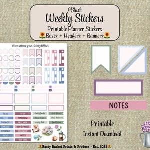 Pegatinas para planificador semanal • Cajas, encabezados y banners • Happy Planner + Erin Condren / Blush