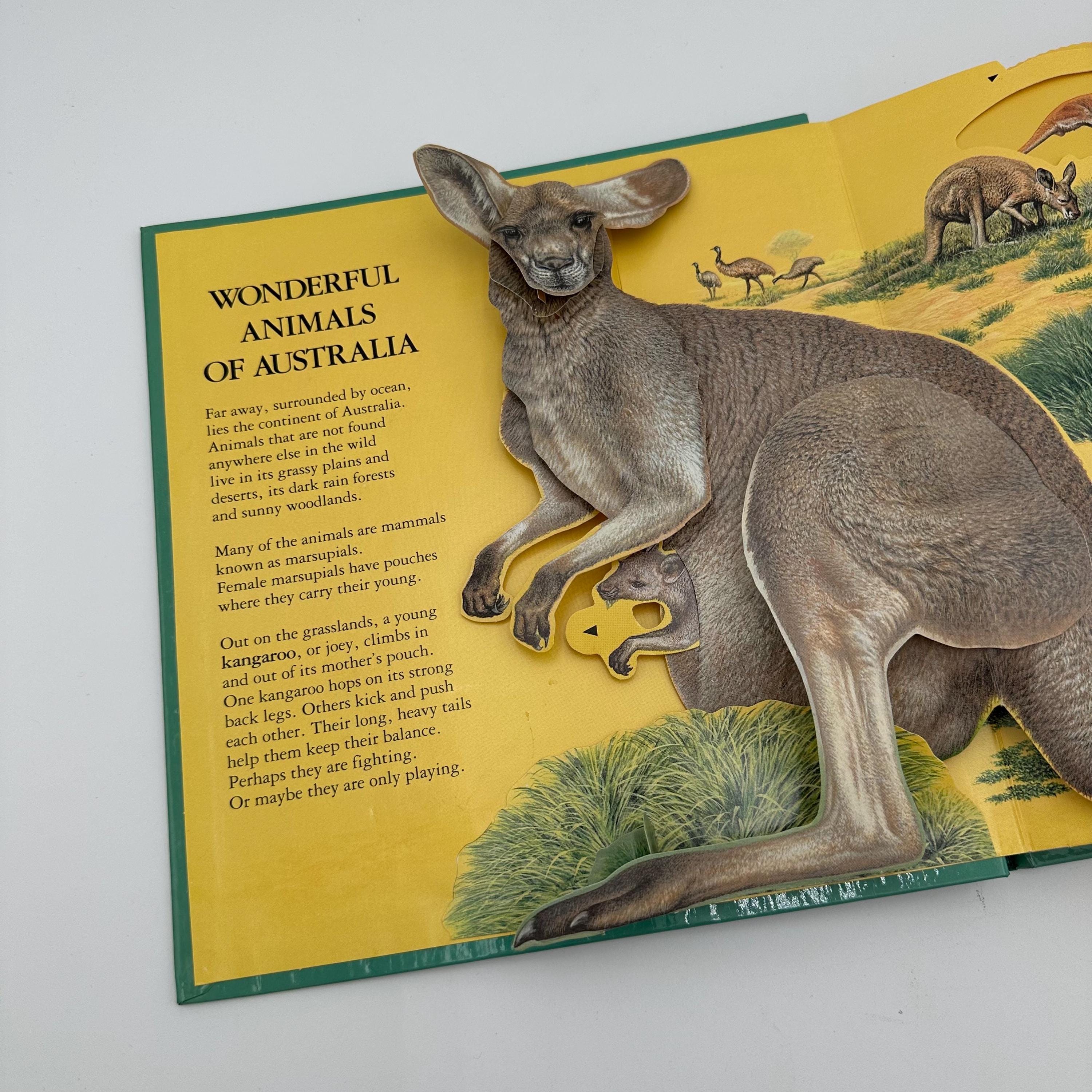 National Geographic Wonderful Animals of Australia 1990 Pop up 
