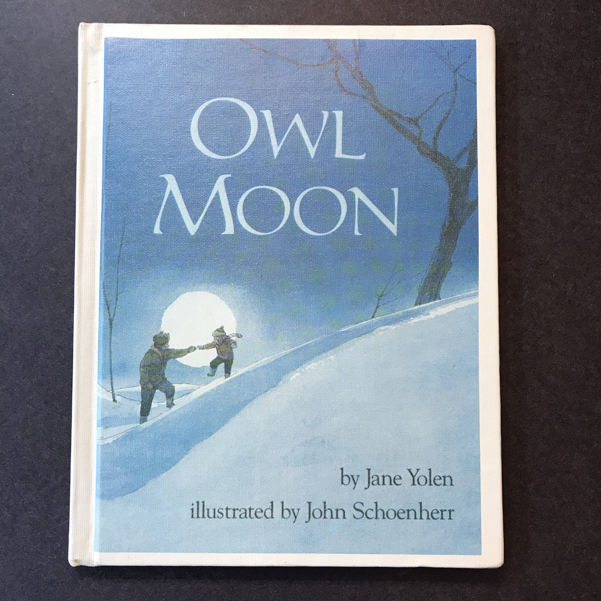 vintage book Owl Moon by Jane Yolen illustrated by John Etsy