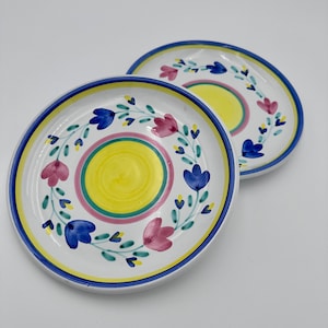 May include: Two white ceramic plates with blue, yellow, pink, and green floral designs. The plates are stacked on top of each other.