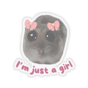 Cute Cat Kiss-Cut Stickers Set, Funny Girly Cat Decals, I&#39;m Just a Girl, Laptop Decals, Water Bottle Stickers, Planner Accessories