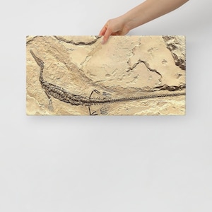 Könnte beinhalten: Ein versteinertes Reptilienskelett wird auf einer rechteckigen Leinwand gezeigt. Das Fossil hat eine dunkelbraune Farbe, und die Leinwand hat einen beigen, strukturierten Hintergrund. Das Reptil hat einen langen Hals und Schwanz mit sichtbaren Rippen und Gliedmaßen.