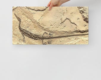 Könnte beinhalten: Ein versteinertes Reptilienskelett wird auf einer rechteckigen Leinwand gezeigt. Das Fossil hat eine dunkelbraune Farbe, und die Leinwand hat einen beigen, strukturierten Hintergrund. Das Reptil hat einen langen Hals und Schwanz mit sichtbaren Rippen und Gliedmaßen.