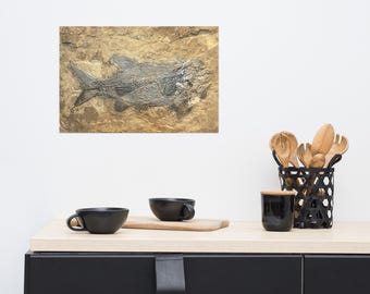 石に保存された先史時代の魚の化石 - 自然史ウォールアートポスター
