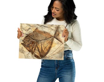 古生物学 - 化石化した魚の壁掛けアート - 先史時代の化石プリント、自然史ポスター、古生物学ギフト、地質学的なホームデコレーション