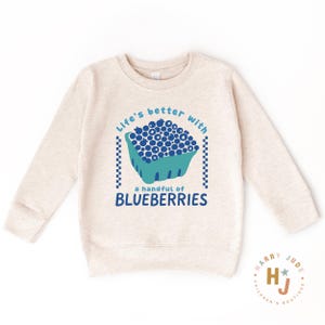 May include: A light beige sweatshirt with a blue and teal graphic of a blueberry carton and the text "Life's better with a handful of blueberries." The sweatshirt is from Harry Jude Children's Boutique.