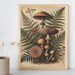 Pu&ograve; includere: Un'illustrazione botanica vintage di funghi e felci. I funghi sono marroni e bianchi con una variet&agrave; di forme e dimensioni. Le felci sono verdi e frondose.