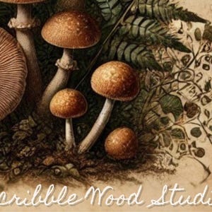 Pu&ograve; includere: Primo piano di un gruppo di funghi marroni su uno sfondo verde frondoso. I funghi hanno una superficie testurizzata e sono disposti in un grappolo. Lo sfondo &egrave; di un marrone sbiadito con una scritta a mano che dice "Scribble Wood Studio".
