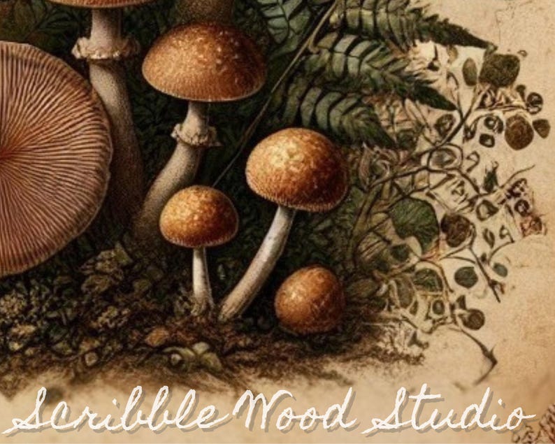 Pu&ograve; includere: Primo piano di un gruppo di funghi marroni su uno sfondo verde frondoso. I funghi hanno una superficie testurizzata e sono disposti in un grappolo. Lo sfondo &egrave; di un marrone sbiadito con una scritta a mano che dice "Scribble Wood Studio".
