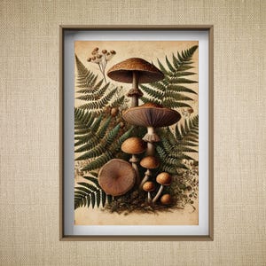 Pu&ograve; includere: Un'illustrazione botanica vintage di un gruppo di funghi che crescono tra le felci. I funghi sono marroni e bianchi, con una variet&agrave; di forme e dimensioni. Le felci sono verdi e rigogliose.