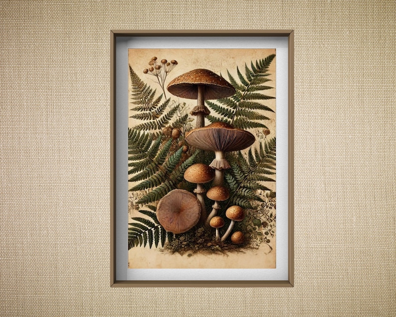 Pu&ograve; includere: Un'illustrazione botanica vintage di un gruppo di funghi che crescono tra le felci. I funghi sono marroni e bianchi, con una variet&agrave; di forme e dimensioni. Le felci sono verdi e rigogliose.