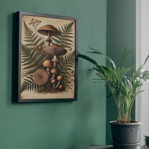 Pu&ograve; includere: Un'illustrazione botanica vintage incorniciata di funghi e felci. I funghi sono marroni e bianchi con una variet&agrave; di forme e dimensioni. Le felci sono verdi e frondose. L'illustrazione &egrave; su uno sfondo color crema.