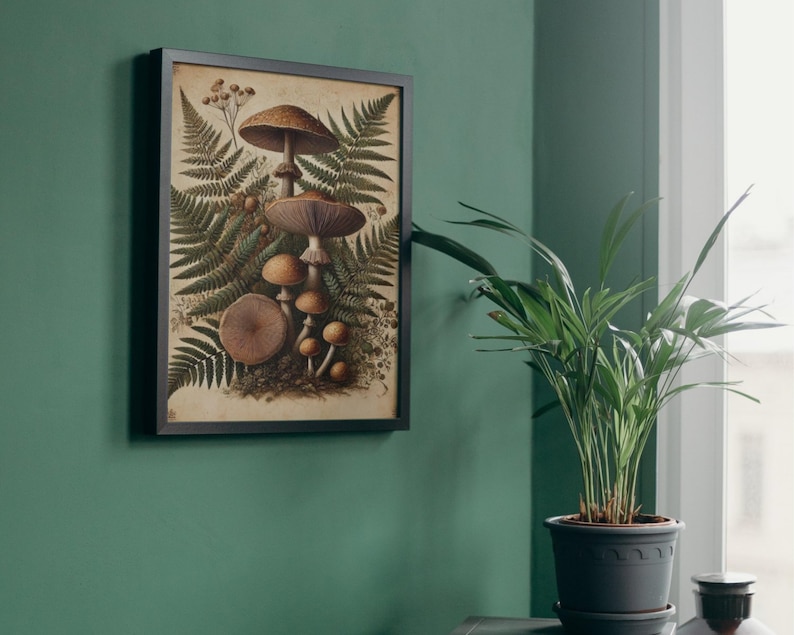 Pu&ograve; includere: Un'illustrazione botanica vintage incorniciata di funghi e felci. I funghi sono marroni e bianchi con una variet&agrave; di forme e dimensioni. Le felci sono verdi e frondose. L'illustrazione &egrave; su uno sfondo color crema.