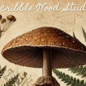 Pu&ograve; includere: Un grande fungo marrone con un gambo bianco e lamelle. Il fungo &egrave; circondato da felci verdi e una piccola pianta con baccelli di semi marroni.
