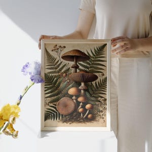 Pu&ograve; includere: Un'illustrazione botanica incorniciata di funghi con cappelli marroni e bianchi, circondati da felci verdi. I funghi sono disposti in un gruppo, con il fungo pi&ugrave; grande in alto.