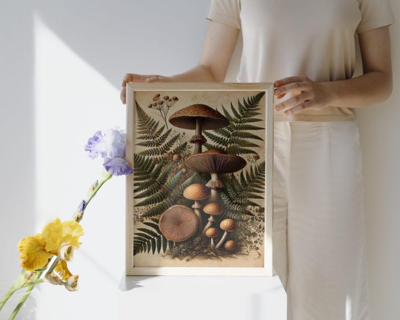 Pu&ograve; includere: Un'illustrazione botanica incorniciata di funghi con cappelli marroni e bianchi, circondati da felci verdi. I funghi sono disposti in un gruppo, con il fungo pi&ugrave; grande in alto.
