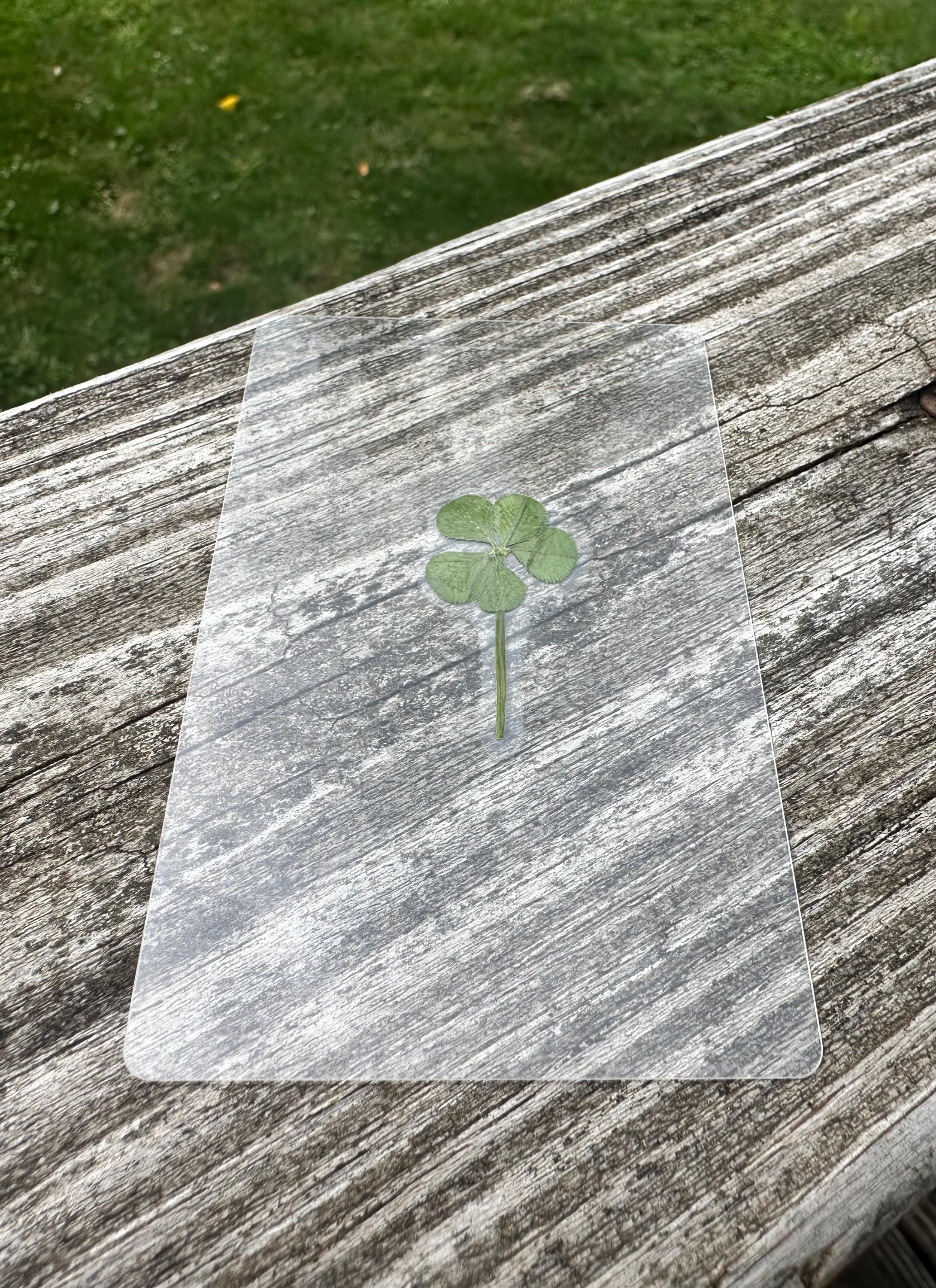 5 Leaf Clover Grimoire - Etsy