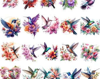Colibrí floral PNG, imágenes prediseñadas de aves en acuarela, diseño floral primaveral (descarga digital)