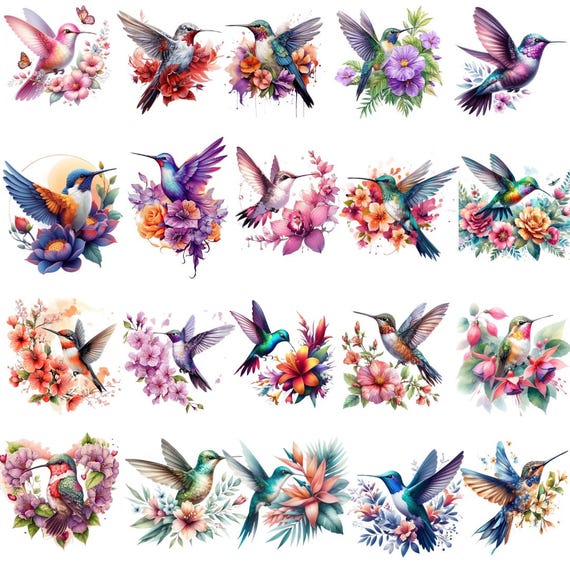 Floral Hummingbird PNG, Watercolor Bird Clipart, Spring Floral Design (Digital Download)
