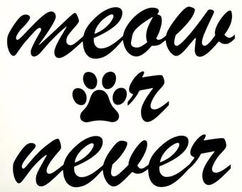 Meow Or Never Decal for water bottles, cars, laptops, windows