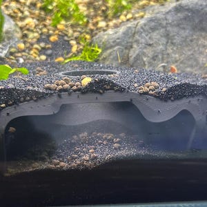 Shrimp Tunnel 3D STL File