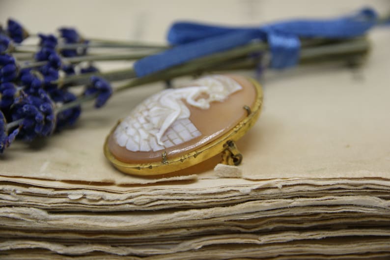 Beautiful Leda and the Swan Gold Plated Cameo Brooch Pin Etsy