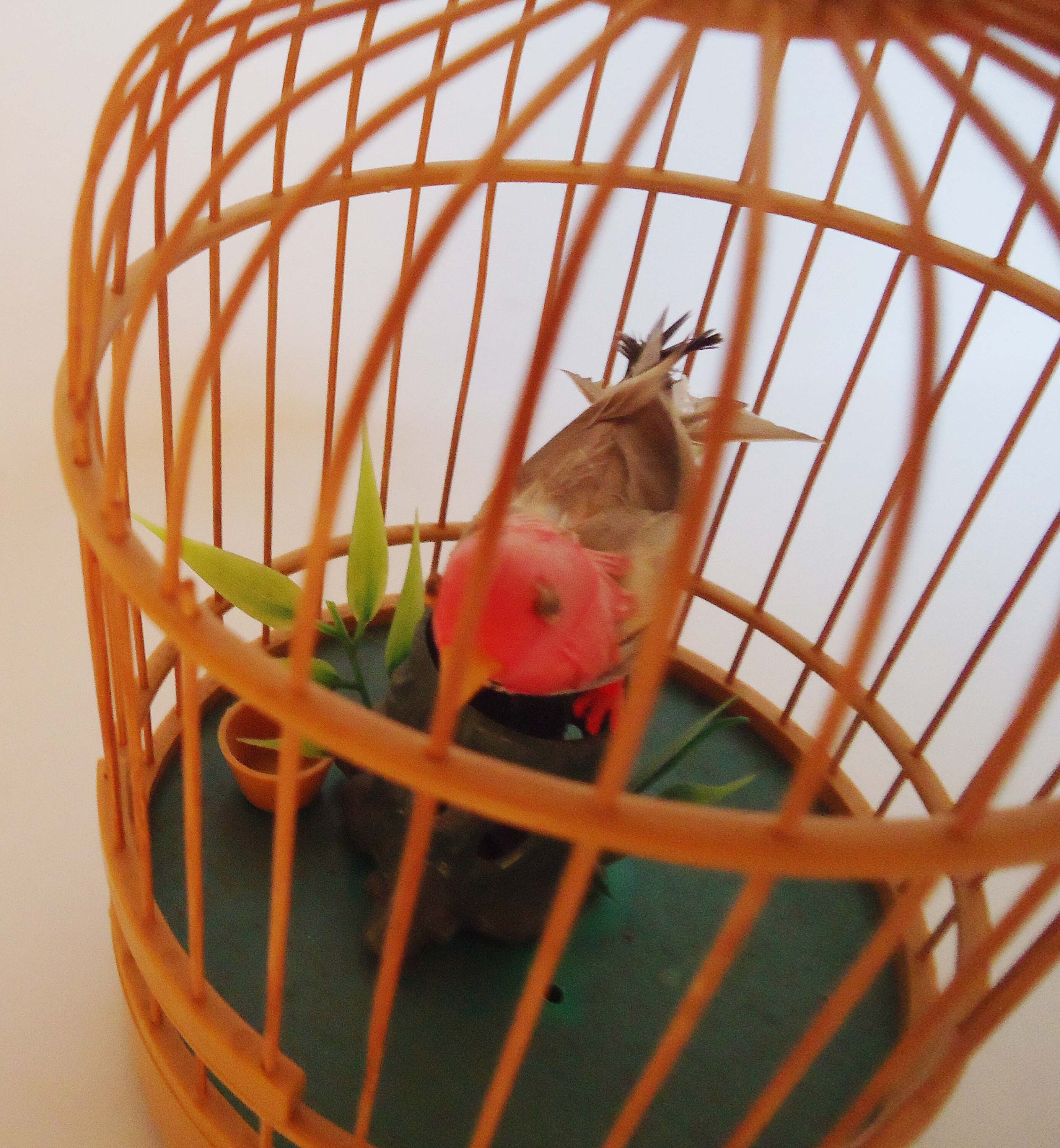Japanese Bird Cage - Etsy Singapore