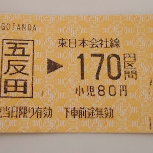 The Tokyo Metro Ticket.