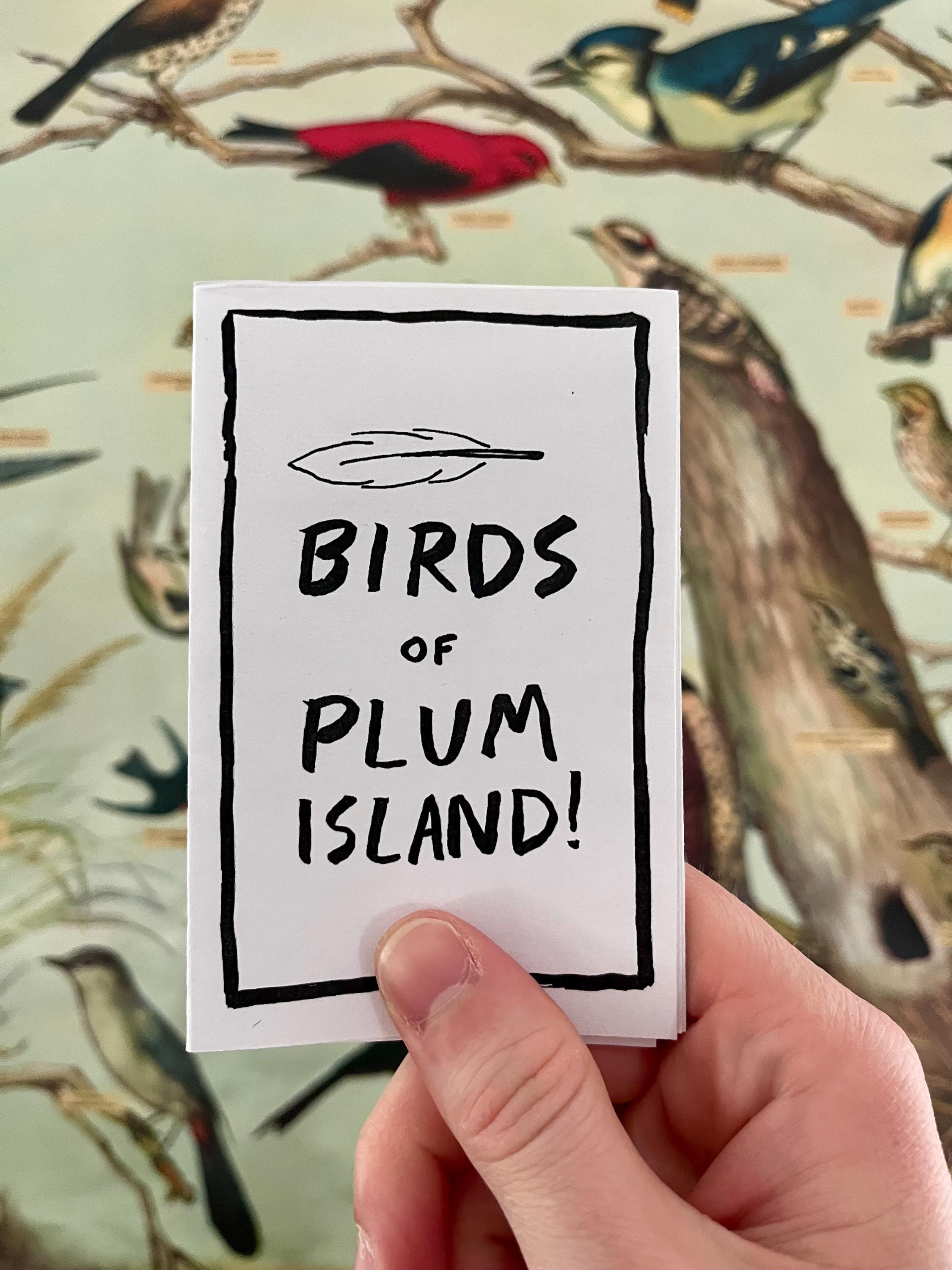 Birds of Plum Island – DIGITAL DOWNLOAD
