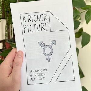 A Richer Picture Zine (a comic on gender and alt text)