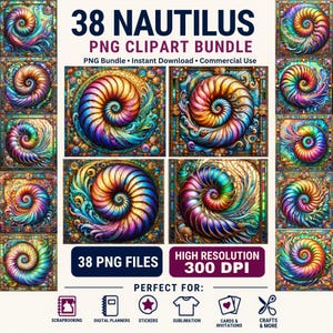 38 Radiant Nautilus PNG Clipart, Ocean Spiral Shell Graphics (Digital Design Pack)
