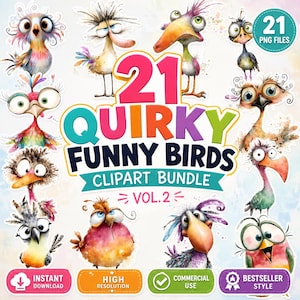 Pacchetto di clipart di uccelli divertenti: illustrazioni in stile cartone animato (download digitale)