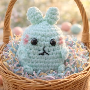 Patroon gehaakte paashaas Molang amigurumi, beginner kawaii knuffel pdf